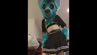 A femboy Binary Wolf teases his audience~