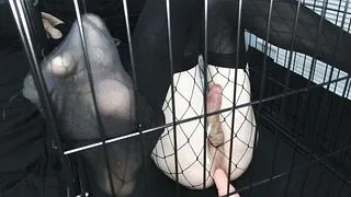 bound goth femboy in cage - railed by dildo machine cum dribbles down ass, hands free